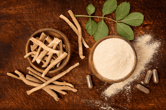 Ashwagandha Wurzeln