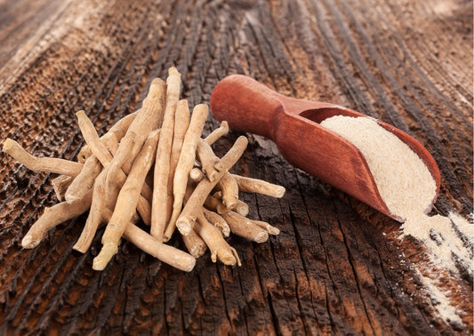 Das Beste für dein Training: Ashwagandha